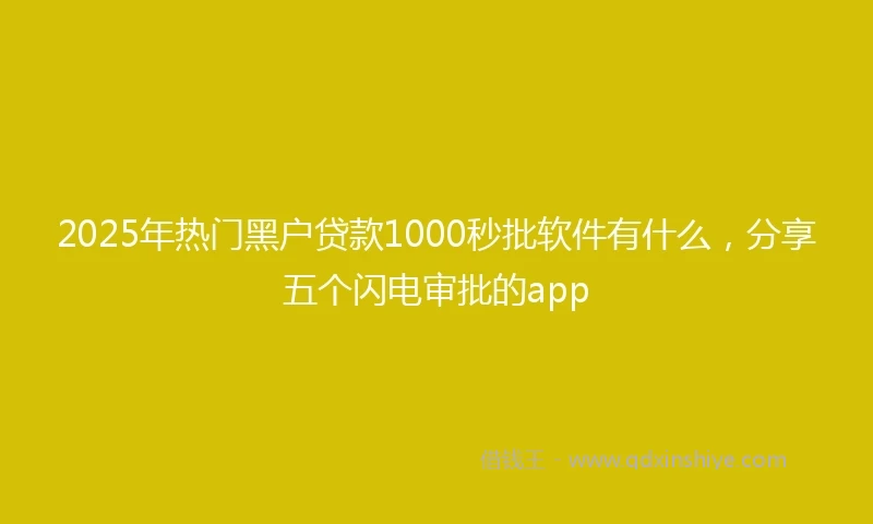 2025年热门黑户贷款1000秒批软件有什么，分享五个闪电审批的app