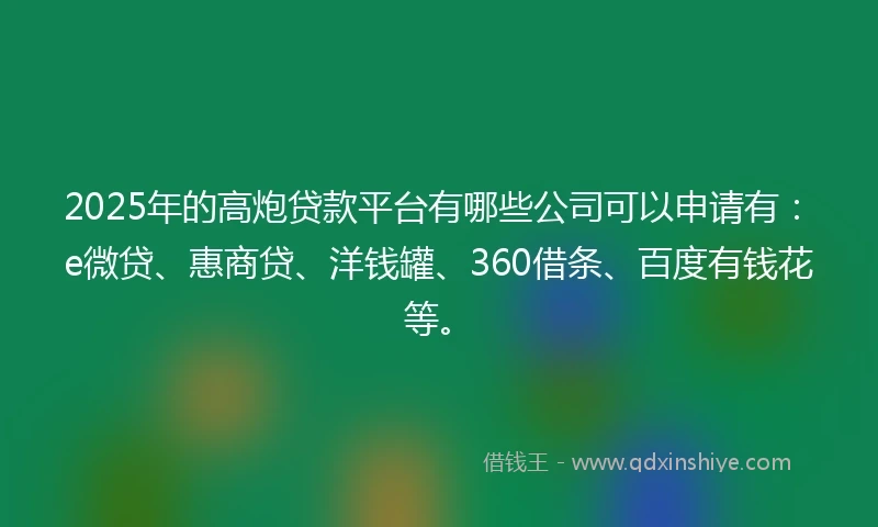 2025年的高炮贷款平台有哪些公司可以申请有：e微贷、惠商贷、洋钱罐、360借条、百度有钱花等。