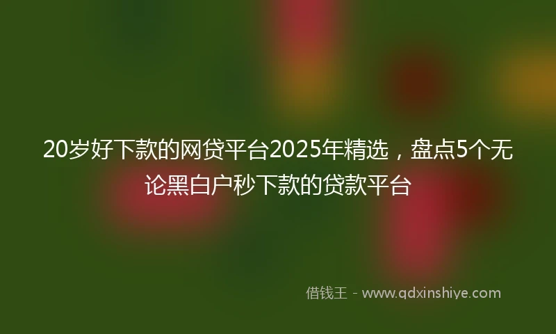 20岁好下款的网贷平台2025年精选，盘点5个无论黑白户秒下款的贷款平台