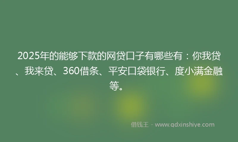 2025年的能够下款的网贷口子有哪些有：你我贷、我来贷、360借条、平安口袋银行、度小满金融等。