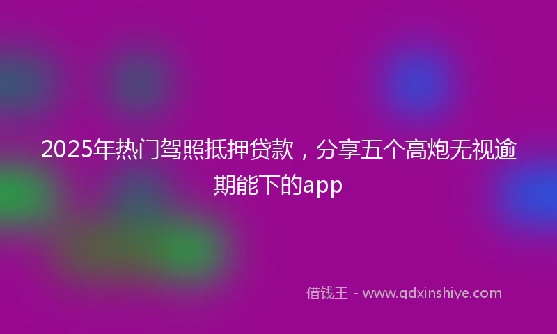2025年热门驾照抵押贷款，分享五个高炮无视逾期能下的app