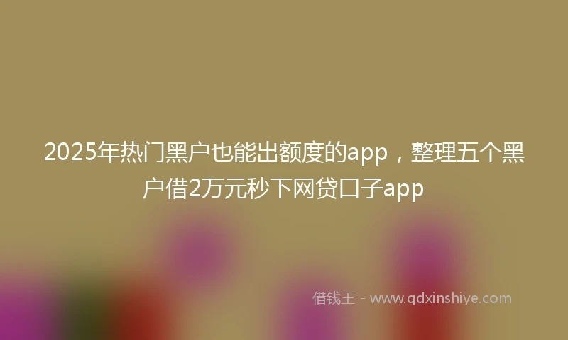 2025年热门黑户也能出额度的app，整理五个黑户借2万元秒下网贷口子app