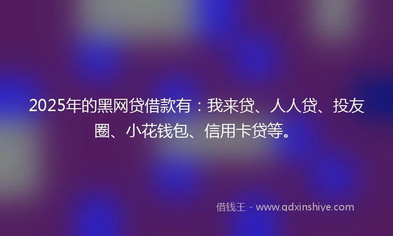 2025年的黑网贷借款有：我来贷、人人贷、投友圈、小花钱包、信用卡贷等。