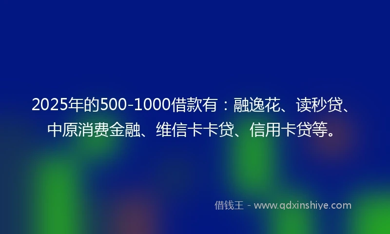 2025年的500-1000借款有：融逸花、读秒贷、中原消费金融、维信卡卡贷、信用卡贷等。