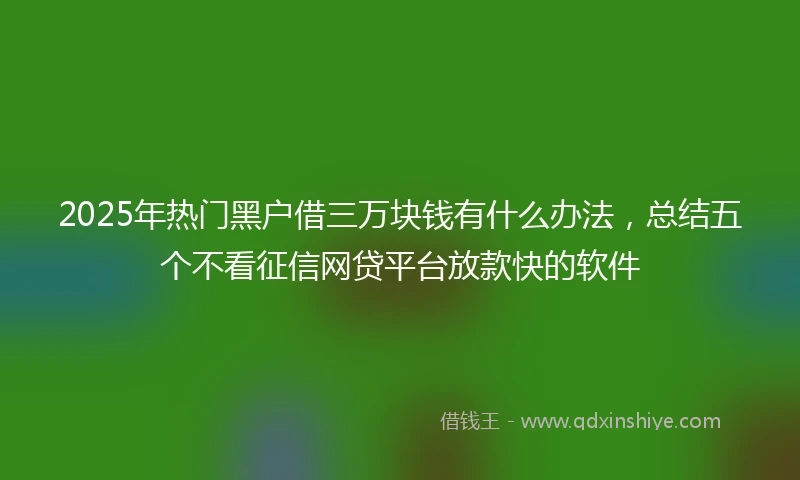 2025年热门黑户借三万块钱有什么办法，总结五个不看征信网贷平台放款快的软件