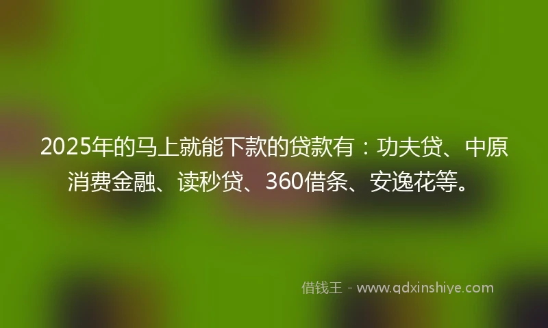 2025年的马上就能下款的贷款有：功夫贷、中原消费金融、读秒贷、360借条、安逸花等。