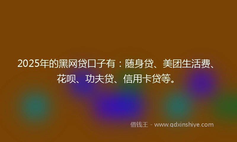 2025年的黑网贷口子有：随身贷、美团生活费、花呗、功夫贷、信用卡贷等。