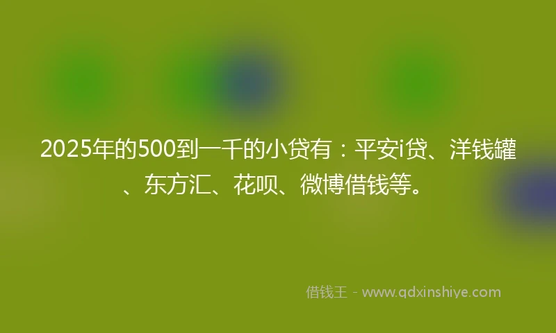 2025年的500到一千的小贷有：平安i贷、洋钱罐、东方汇、花呗、微博借钱等。