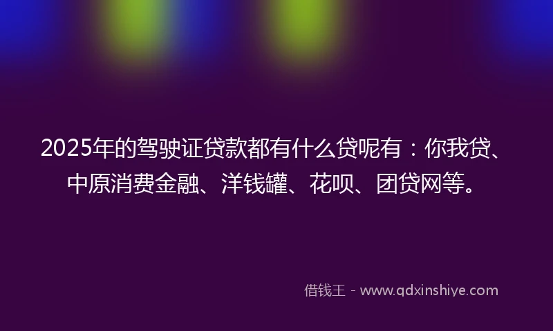2025年的驾驶证贷款都有什么贷呢有：你我贷、中原消费金融、洋钱罐、花呗、团贷网等。