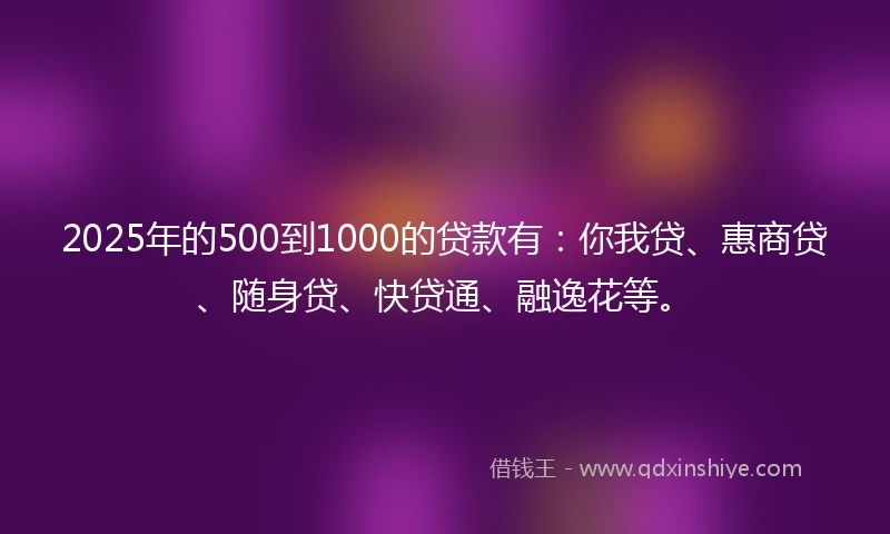 2025年的500到1000的贷款有：你我贷、惠商贷、随身贷、快贷通、融逸花等。