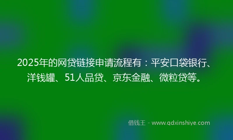 2025年的网贷链接申请流程有：平安口袋银行、洋钱罐、51人品贷、京东金融、微粒贷等。
