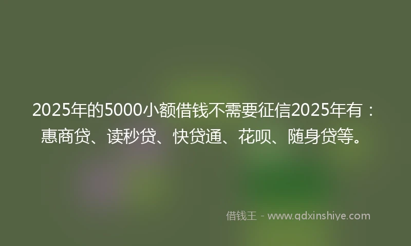 2025年的5000小额借钱不需要征信2025年有：惠商贷、读秒贷、快贷通、花呗、随身贷等。