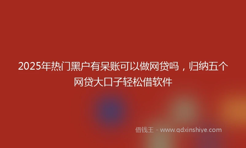 2025年热门黑户有呆账可以做网贷吗，归纳五个网贷大口子轻松借软件