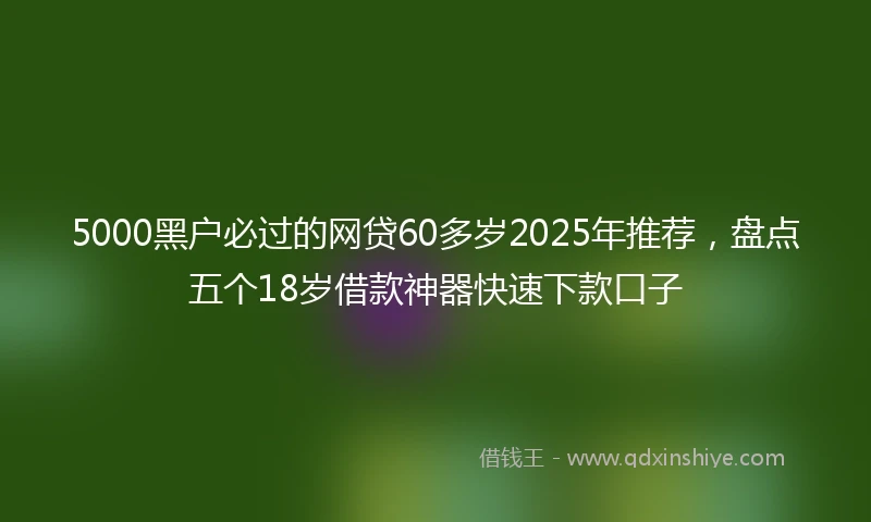 5000黑户必过的网贷60多岁2025年推荐，盘点五个18岁借款神器快速下款口子