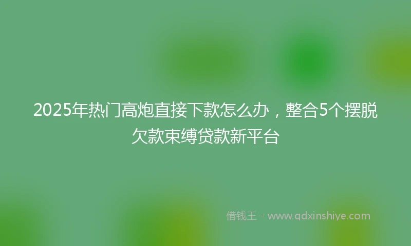 2025年热门高炮直接下款怎么办，整合5个摆脱欠款束缚贷款新平台