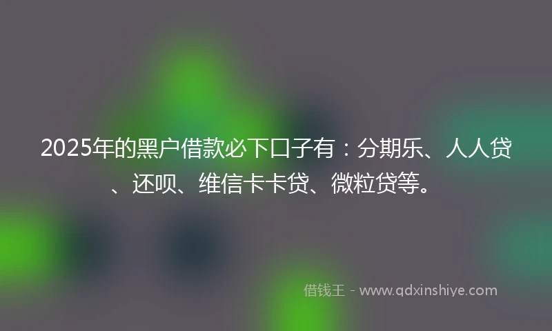 2025年的黑户借款必下口子有：分期乐、人人贷、还呗、维信卡卡贷、微粒贷等。
