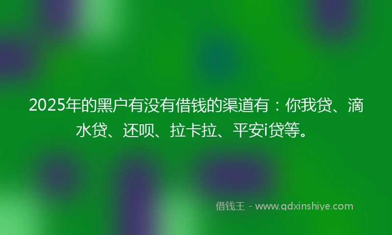 2025年的黑户有没有借钱的渠道有：你我贷、滴水贷、还呗、拉卡拉、平安i贷等。