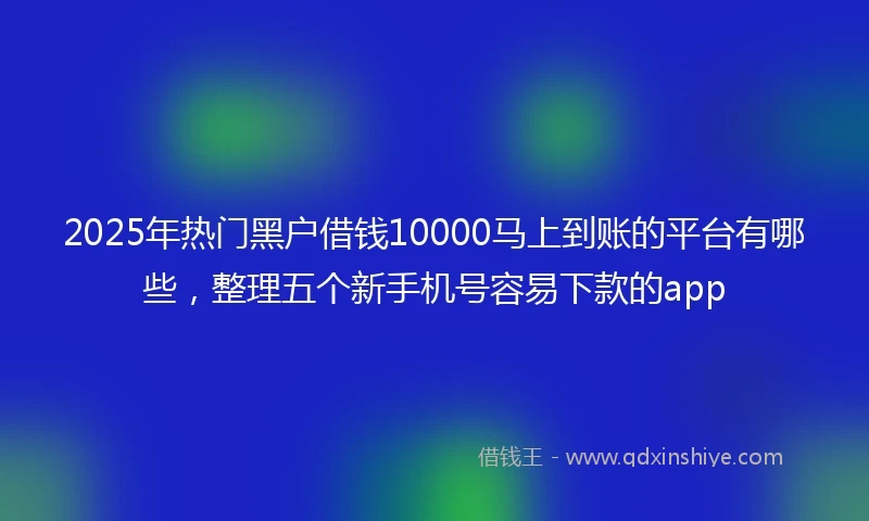 2025年热门黑户借钱10000马上到账的平台有哪些，整理五个新手机号容易下款的app