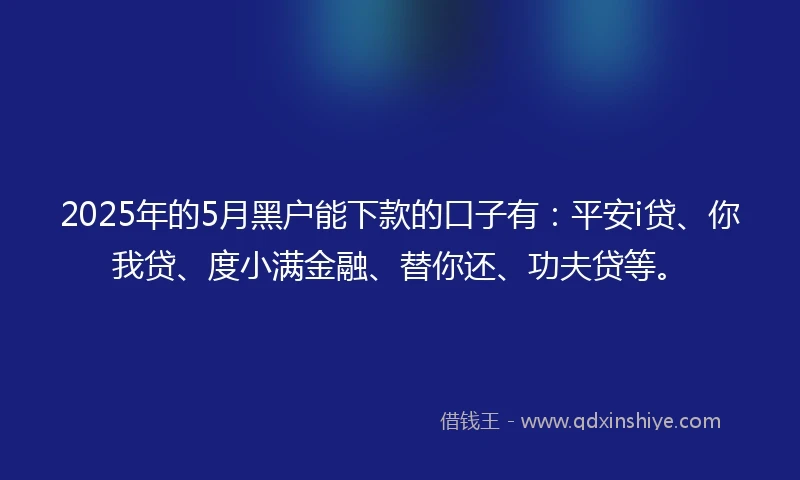 2025年的5月黑户能下款的口子有：平安i贷、你我贷、度小满金融、替你还、功夫贷等。