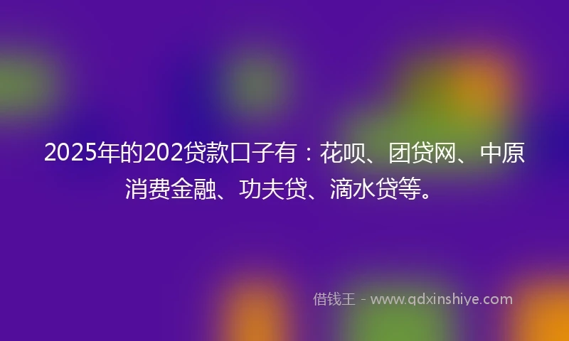 2025年的202贷款口子有：花呗、团贷网、中原消费金融、功夫贷、滴水贷等。