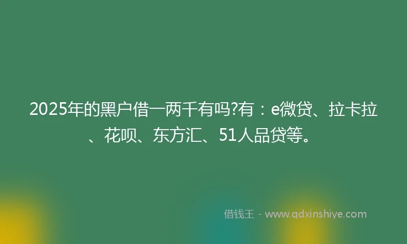 2025年的黑户借一两千有吗?有：e微贷、拉卡拉、花呗、东方汇、51人品贷等。