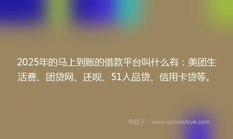 2025年的马上到账的借款平台叫什么有：美团生活费、团贷网、还呗、51人品贷、信用卡贷等。