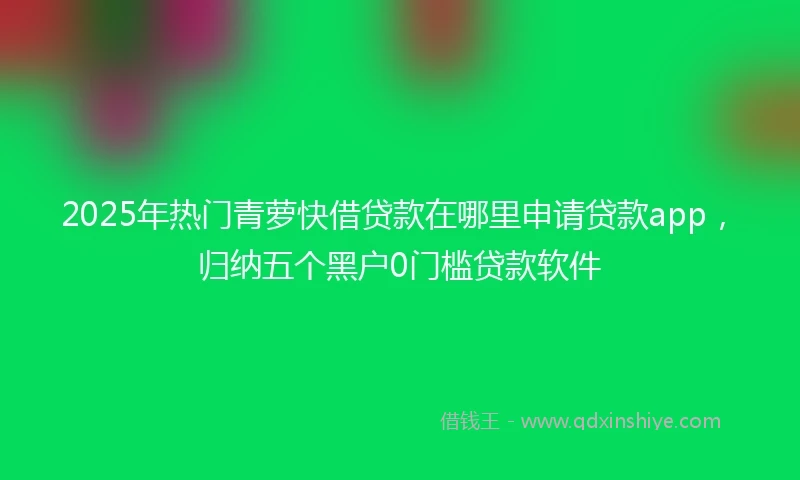 2025年热门青萝快借贷款在哪里申请贷款app，归纳五个黑户0门槛贷款软件