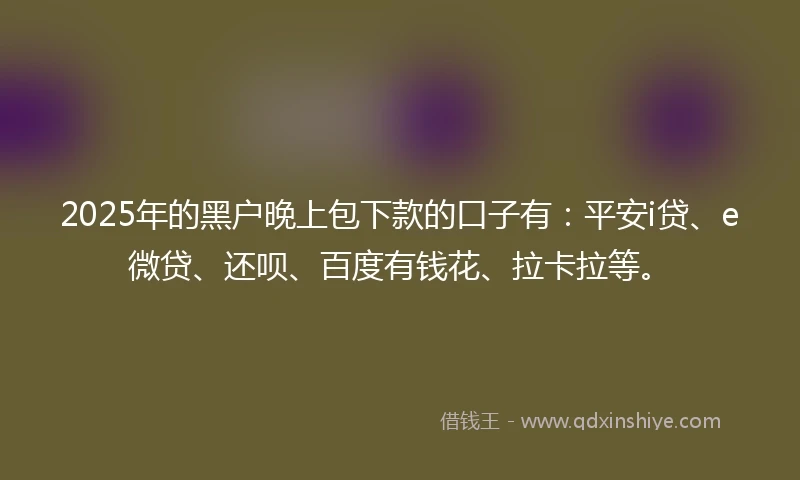 2025年的黑户晚上包下款的口子有：平安i贷、e微贷、还呗、百度有钱花、拉卡拉等。