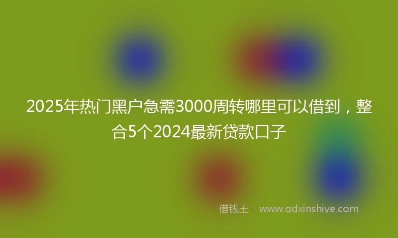 2025年热门黑户急需3000周转哪里可以借到，整合5个2024最新贷款口子