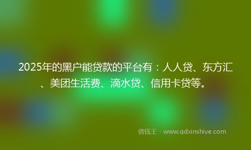 2025年的黑户能贷款的平台有：人人贷、东方汇、美团生活费、滴水贷、信用卡贷等。