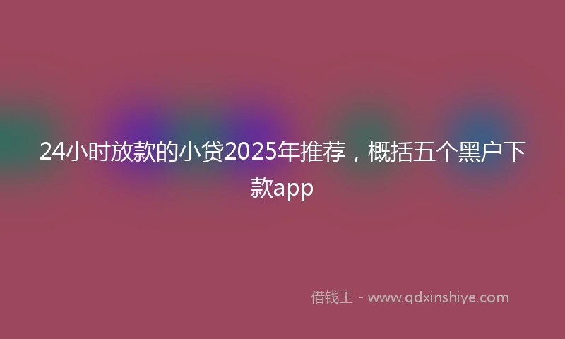 24小时放款的小贷2025年推荐，概括五个黑户下款app