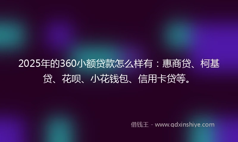 2025年的360小额贷款怎么样有：惠商贷、柯基贷、花呗、小花钱包、信用卡贷等。