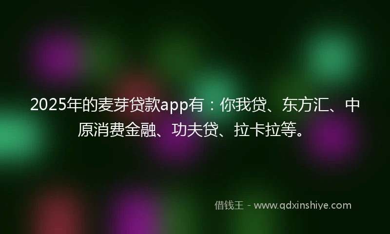 2025年的麦芽贷款app有：你我贷、东方汇、中原消费金融、功夫贷、拉卡拉等。