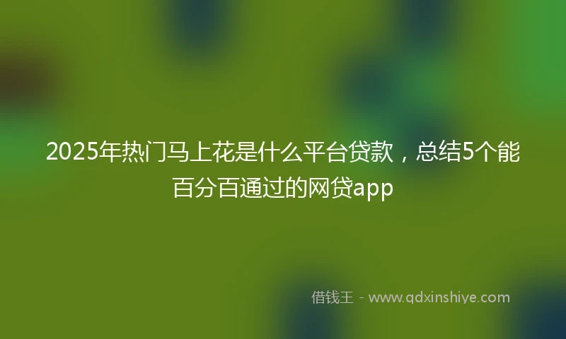 2025年热门马上花是什么平台贷款，总结5个能百分百通过的网贷app