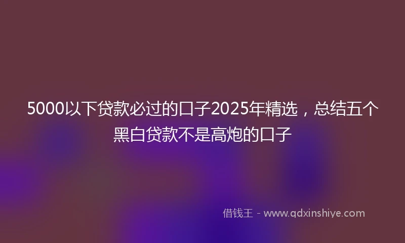 5000以下贷款必过的口子2025年精选，总结五个黑白贷款不是高炮的口子