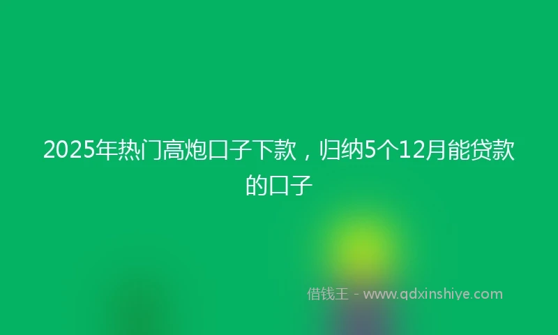 2025年热门高炮口子下款，归纳5个12月能贷款的口子