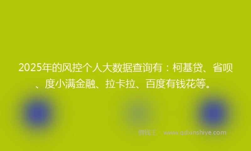 2025年的风控个人大数据查询有：柯基贷、省呗、度小满金融、拉卡拉、百度有钱花等。