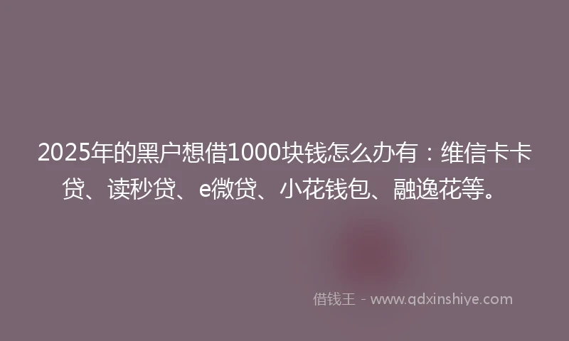 2025年的黑户想借1000块钱怎么办有：维信卡卡贷、读秒贷、e微贷、小花钱包、融逸花等。