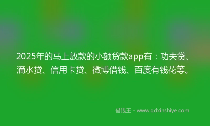 2025年的马上放款的小额贷款app有：功夫贷、滴水贷、信用卡贷、微博借钱、百度有钱花等。