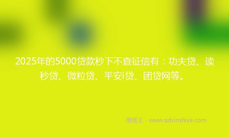 2025年的5000贷款秒下不查征信有：功夫贷、读秒贷、微粒贷、平安i贷、团贷网等。