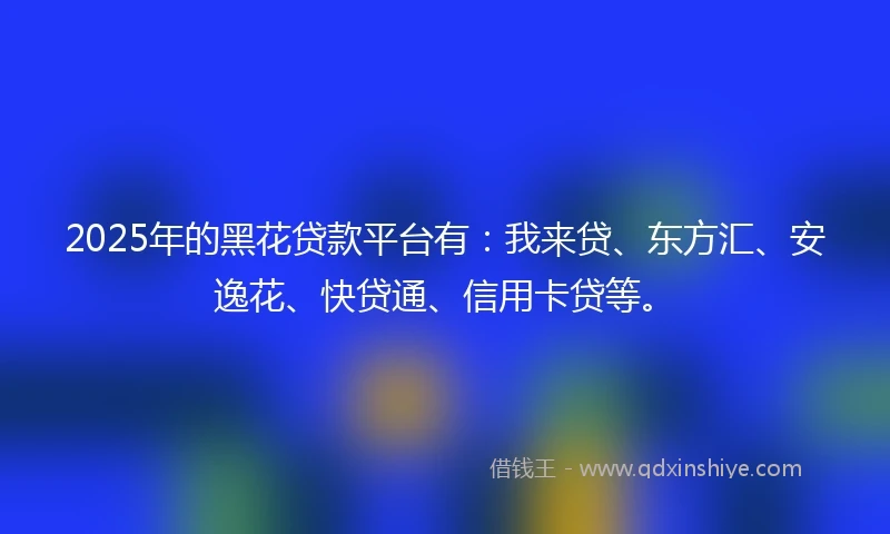 2025年的黑花贷款平台有：我来贷、东方汇、安逸花、快贷通、信用卡贷等。