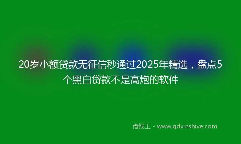 20岁小额贷款无征信秒通过2025年精选，盘点5个黑白贷款不是高炮的软件