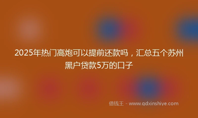 2025年热门高炮可以提前还款吗，汇总五个苏州黑户贷款5万的口子