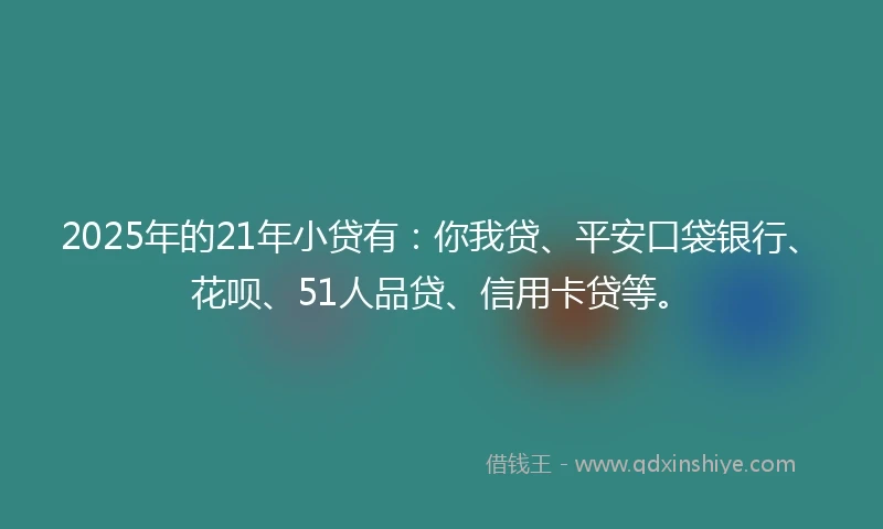 2025年的21年小贷有：你我贷、平安口袋银行、花呗、51人品贷、信用卡贷等。