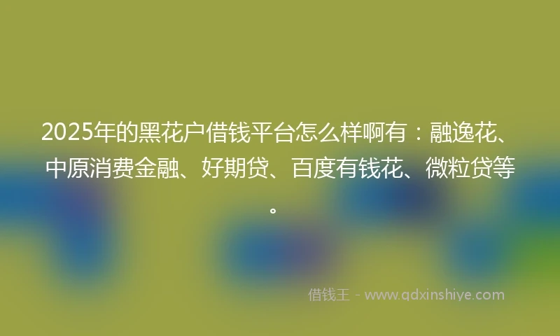 2025年的黑花户借钱平台怎么样啊有：融逸花、中原消费金融、好期贷、百度有钱花、微粒贷等。