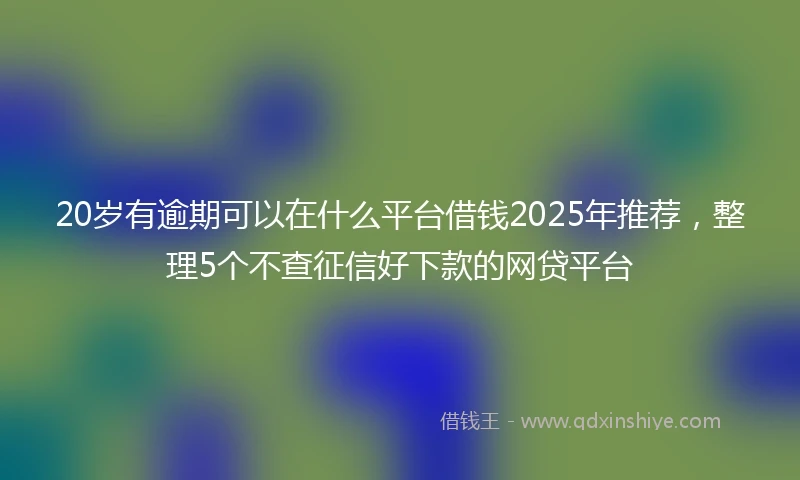 20岁有逾期可以在什么平台借钱2025年推荐，整理5个不查征信好下款的网贷平台