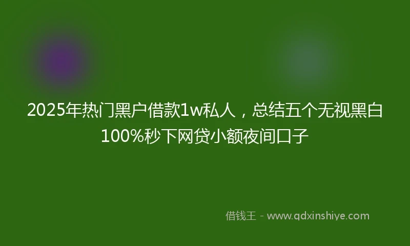 2025年热门黑户借款1w私人，总结五个无视黑白100%秒下网贷小额夜间口子