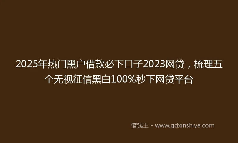 2025年热门黑户借款必下口子2023网贷，梳理五个无视征信黑白100%秒下网贷平台