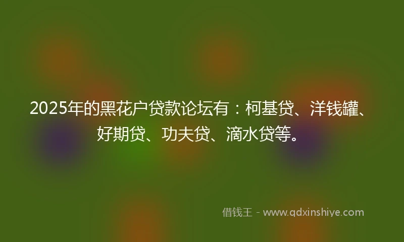 2025年的黑花户贷款论坛有：柯基贷、洋钱罐、好期贷、功夫贷、滴水贷等。
