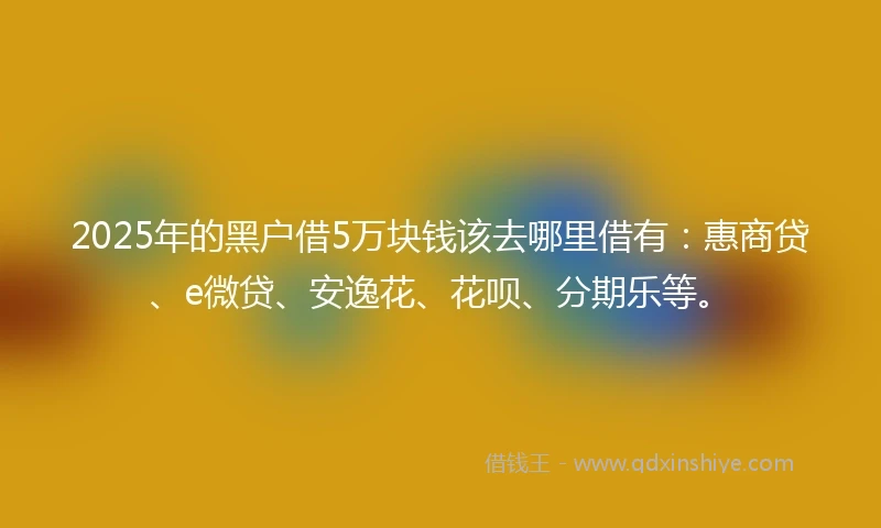 2025年的黑户借5万块钱该去哪里借有：惠商贷、e微贷、安逸花、花呗、分期乐等。